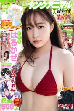 美国三级