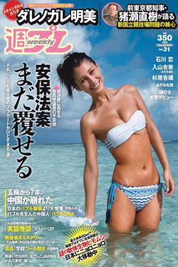 免费论理片
